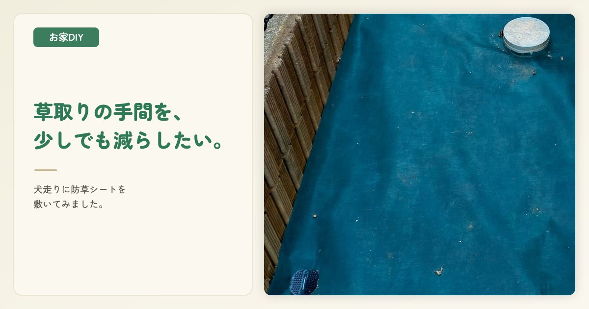犬走りに防草シートをDIY!雑草対策にザバーンを敷いてみた